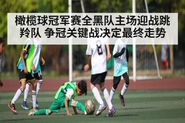 橄榄球冠军赛全黑队主场迎战跳羚队 争冠关键战决定最终走势